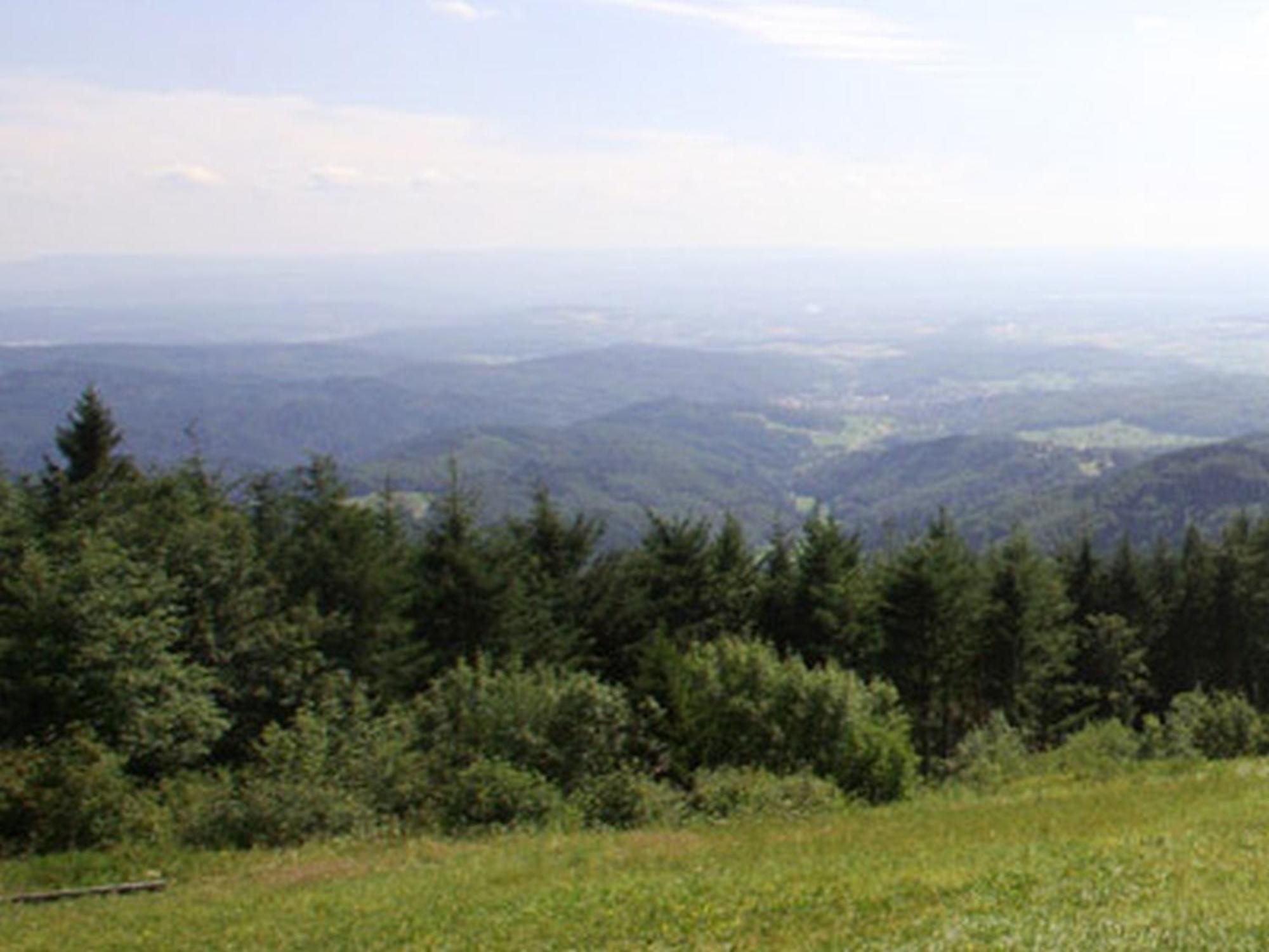 Haus Burgblick Daire Badenweiler Dış mekan fotoğraf